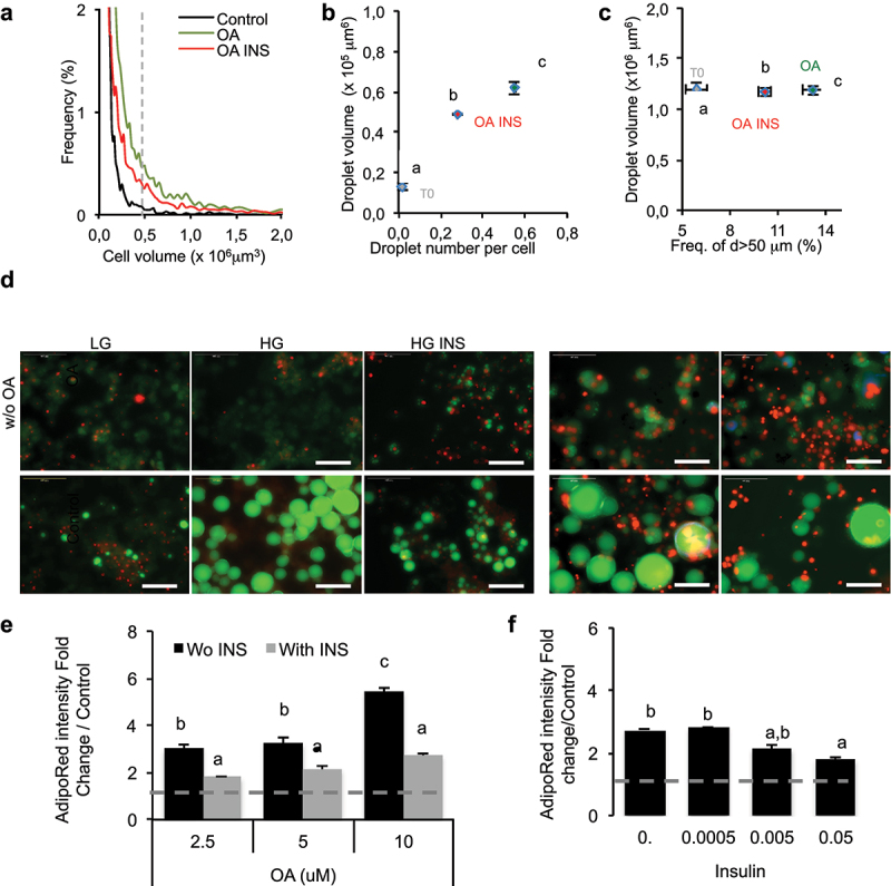 Insulin prevents fatty acid induced increase of adipocyte size.