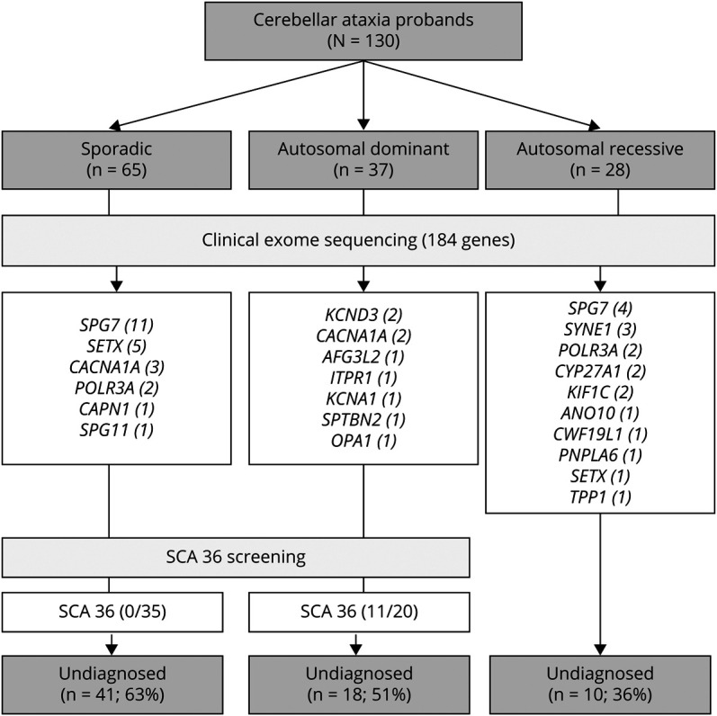 Diagnostic Efficacy of Genetic Studies in a Series of Hereditary Cerebellar Ataxias in Eastern Spain.