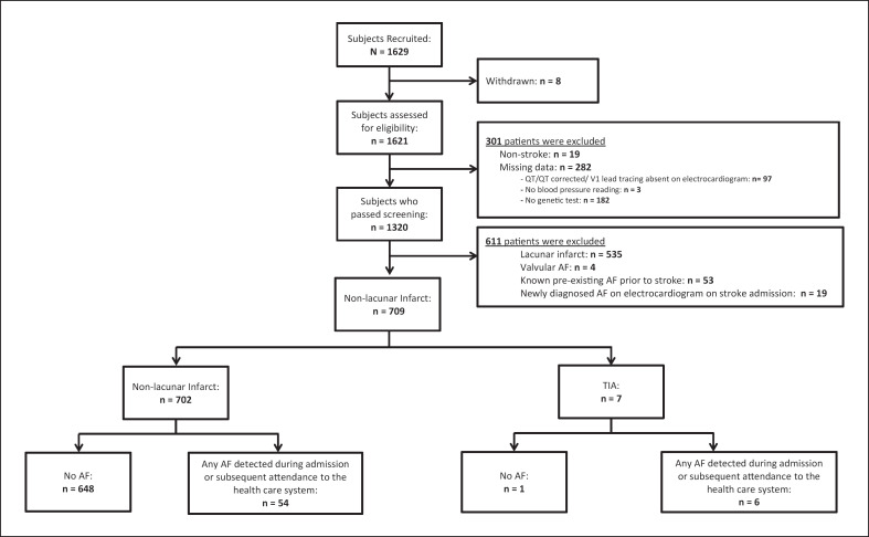 Predicting Atrial Fibrillation after Ischemic Stroke: Clinical, Genetics, and Electrocardiogram Modelling.