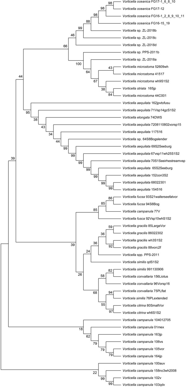 Ciliated Peritrichous Protozoa in a Tezontle-Packed Sequencing Batch Reactor as Potential Indicators of Water Quality.