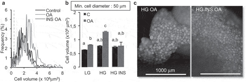 Insulin prevents fatty acid induced increase of adipocyte size.