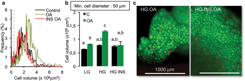 Insulin prevents fatty acid induced increase of adipocyte size.