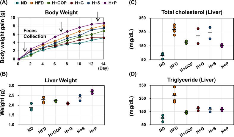 Molecular networking-based lipid profiling and multi-omics approaches reveal new contributions of functional vanilloids to gut microbiota and lipometabolism changes