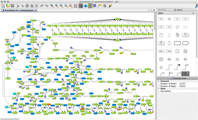 GraphML-SBGN bidirectional converter for metabolic networks.