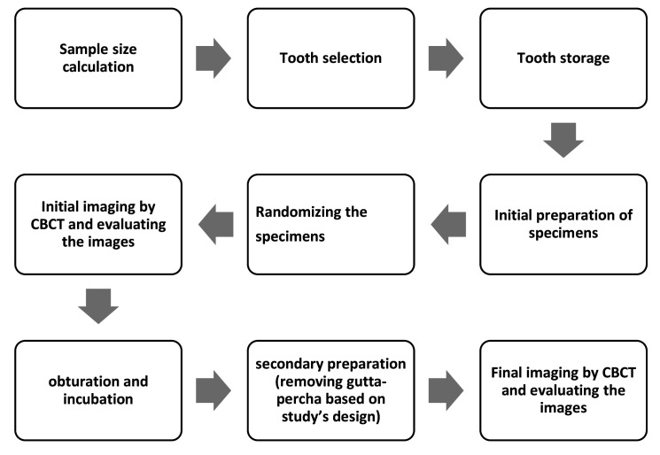 Comparison of the Efficacy of NeoNiTi, ProTaper, and Reciproc Files in the Retreatment of Curved Root Canals: a CBCT Assessment.