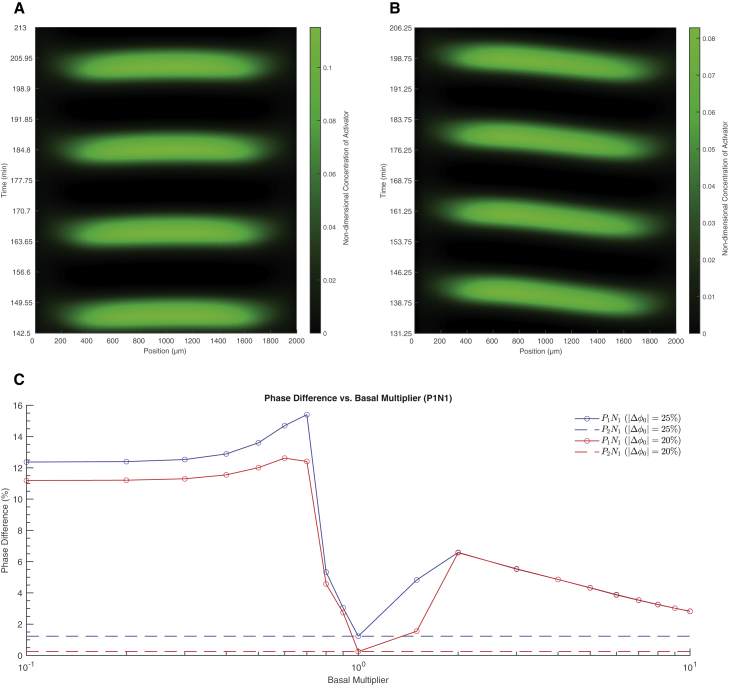 The space between us: Modeling spatial heterogeneity in synthetic microbial consortia dynamics.