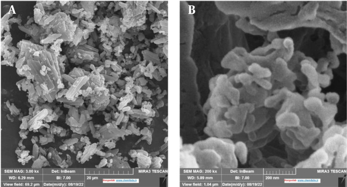 The Impact of Process and Formulation Parameters on the Fabrication of Efavirenz Nanosuspension to Improve Drug Solubility and Dissolution.