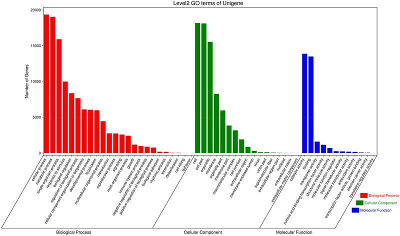 Comparative transcriptome analysis on drought stress-induced floral formation of <i>Curcuma kwangsiensis</i>.