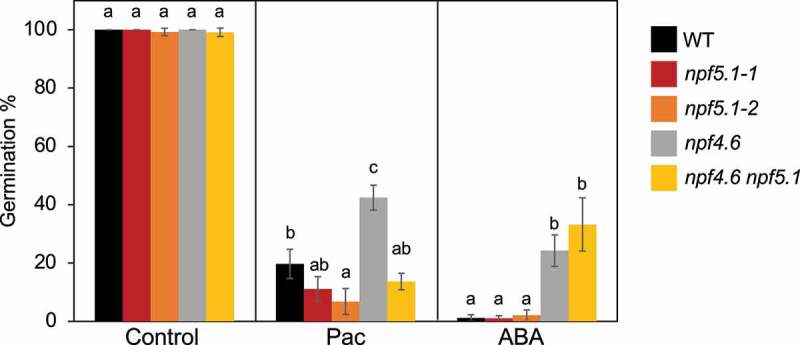 Arabidopsis NPF5.1 regulates ABA homeostasis and seed germination by mediating ABA uptake into the seed coat.