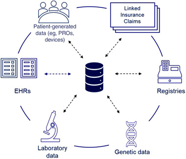 Natural History and Real-World Data in Rare Diseases: Applications, Limitations, and Future Perspectives.