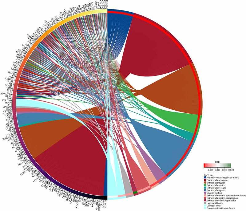 Bioinformatics analysis of candidate genes and potential therapeutic drugs targeting adipose tissue in obesity.