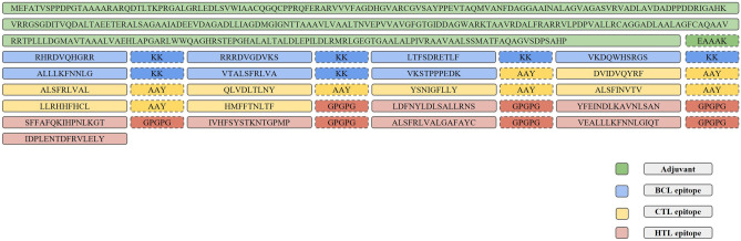 Envelope Glycoprotein based multi-epitope vaccine against a co-infection of Human Herpesvirus 5 and Human Herpesvirus 6 using in silico strategies.