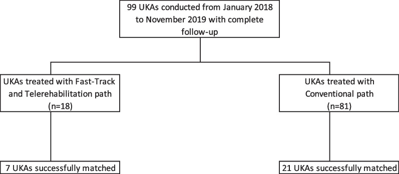 Fast-track surgery and telerehabilitation protocol in unicompartmental knee arthroplasty leads to superior outcomes when compared with the standard protocol: a propensity-matched pilot study.