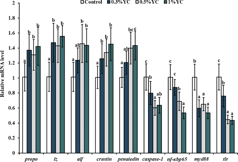 Effects of dietary yeast culture on health status in digestive tract of juvenile Pacific white shrimp Litopenaeus Vannamei