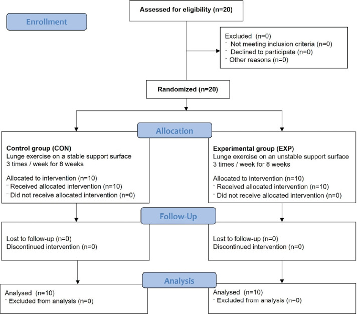 Effects of an 8-week lunge exercise on an unstable support surface on lower-extremity muscle function and balance in middle-aged women.