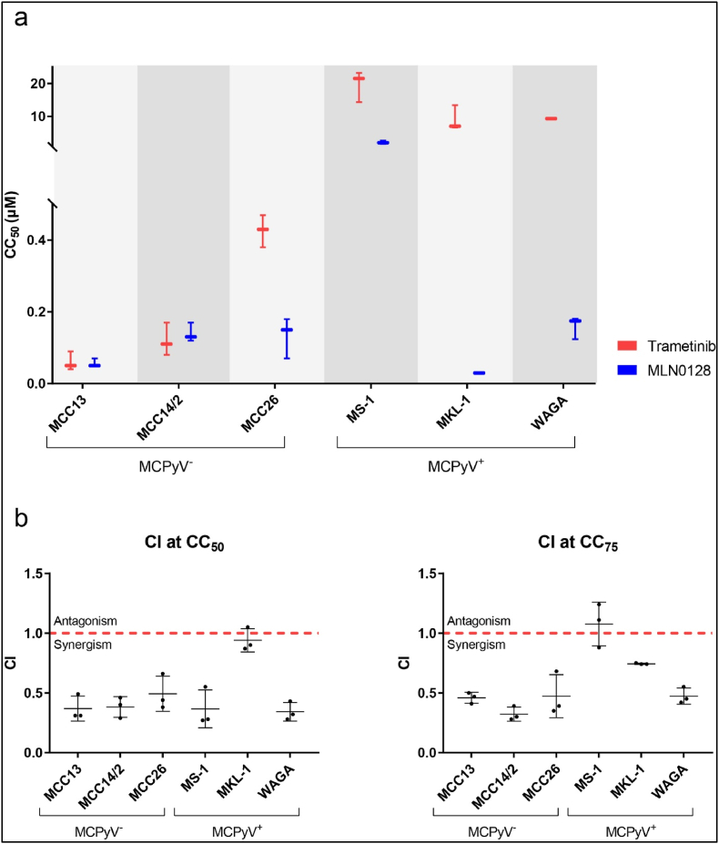 Synergistic targeting of the PI3K/mTOR and MAPK/ERK pathways in Merkel cell carcinoma