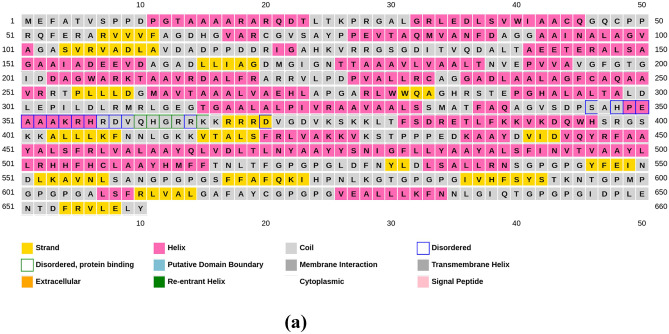 Envelope Glycoprotein based multi-epitope vaccine against a co-infection of Human Herpesvirus 5 and Human Herpesvirus 6 using in silico strategies.