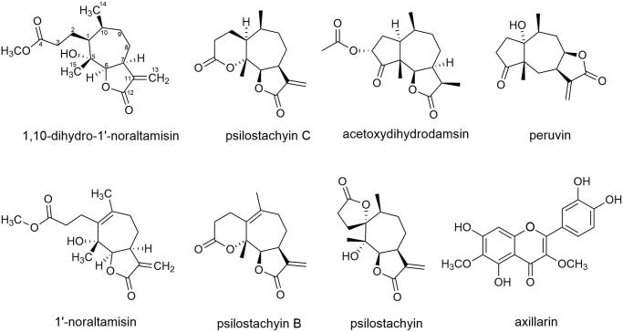 Antiproliferative and cytotoxic effects of sesquiterpene lactones isolated from <i>Ambrosia artemisiifolia</i> on human adenocarcinoma and normal cell lines.