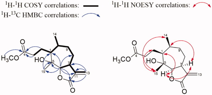 Antiproliferative and cytotoxic effects of sesquiterpene lactones isolated from <i>Ambrosia artemisiifolia</i> on human adenocarcinoma and normal cell lines.