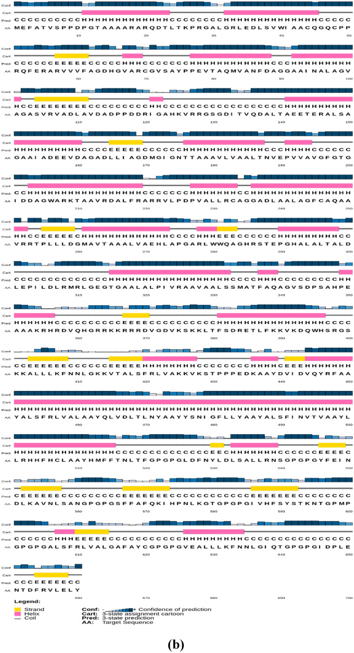 Envelope Glycoprotein based multi-epitope vaccine against a co-infection of Human Herpesvirus 5 and Human Herpesvirus 6 using in silico strategies.