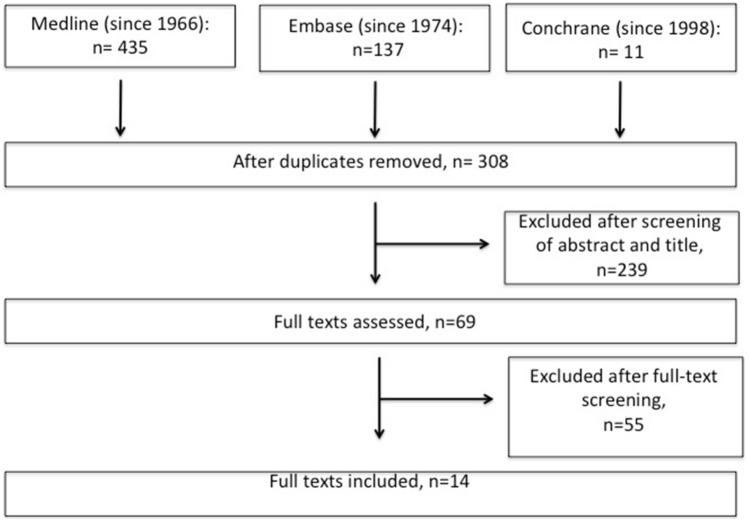 Bone defect treatment: does the type and properties of the spacer affect the induction of Masquelet membrane? Evidence today.