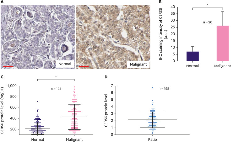 Ceramide Synthase 6 Mediates Triple-Negative Breast Cancer Response to Chemotherapy Through RhoA- and EGFR-Mediated Signaling Pathways.