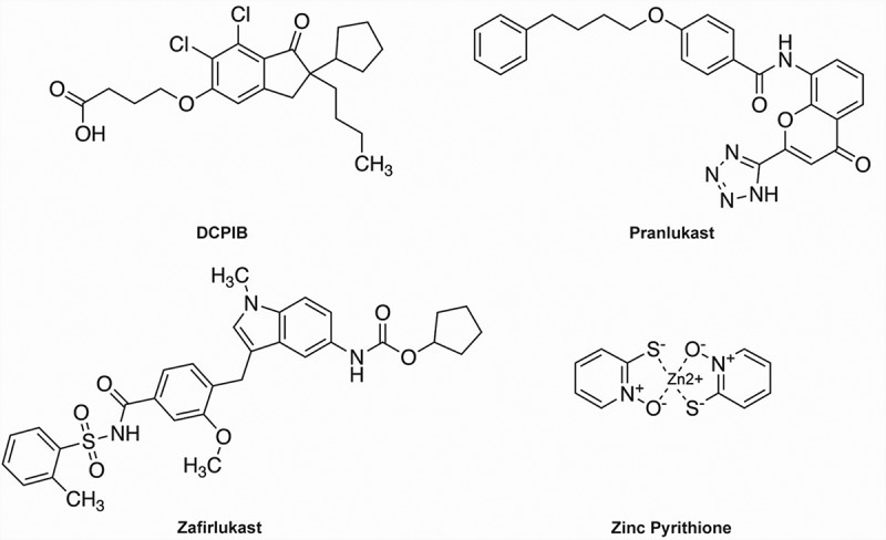 A SWELL time to develop the molecular pharmacology of the volume-regulated anion channel (VRAC).