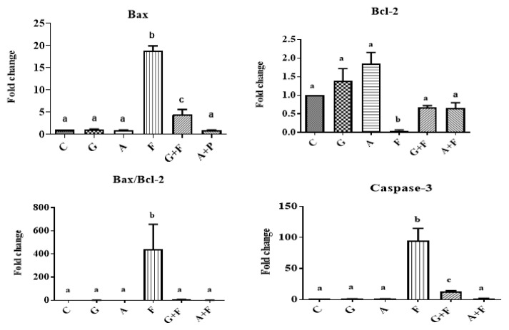 Garlic and allopurinol alleviate the apoptotic pathway in rats' brain following exposure to fipronil insecticide.