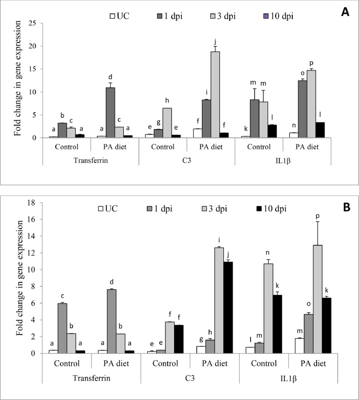 Effects of dietary supplementation of Pseudomonas aeruginosa FARP72 on the immunomodulation and resistance to Edwardsiella tarda in Pangasius pangasius