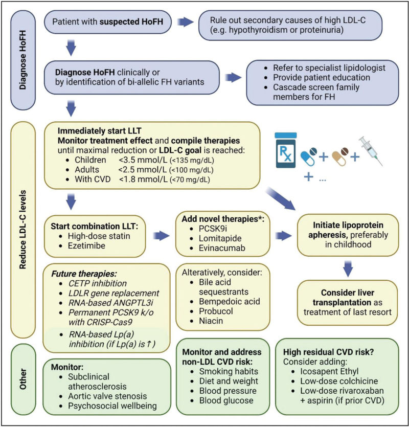 New algorithms for treating homozygous familial hypercholesterolemia.