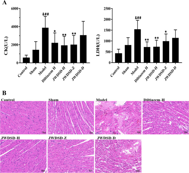 TMT-based quantitative proteomics analysis of the effects of Jiawei Danshen decoction myocardial ischemia-reperfusion injury.