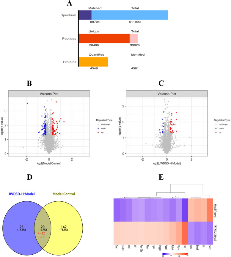 TMT-based quantitative proteomics analysis of the effects of Jiawei Danshen decoction myocardial ischemia-reperfusion injury.