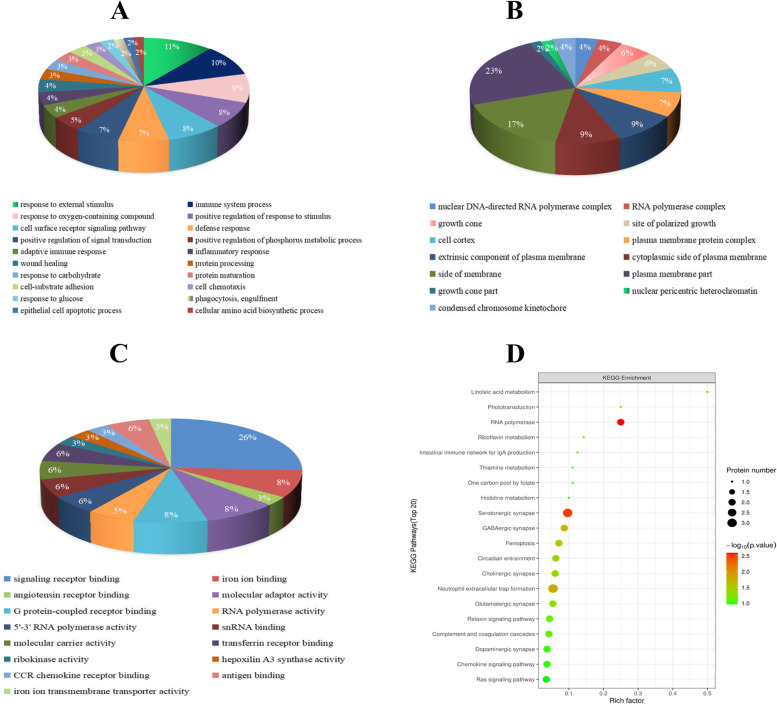 TMT-based quantitative proteomics analysis of the effects of Jiawei Danshen decoction myocardial ischemia-reperfusion injury.