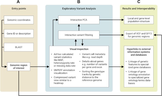 DivBrowse-interactive visualization and exploratory data analysis of variant call matrices.