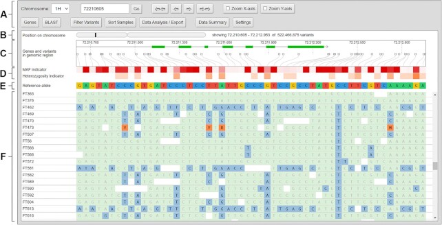 DivBrowse-interactive visualization and exploratory data analysis of variant call matrices.