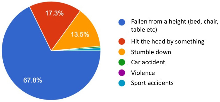 Use of Traditional Mongolian Medicine in Children with Concussion.