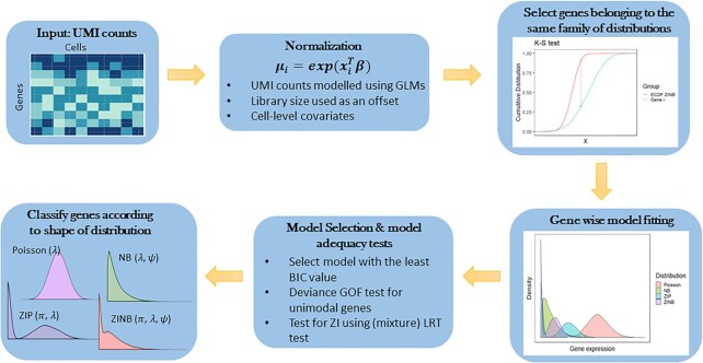 scShapes: a statistical framework for identifying distribution shapes in single-cell RNA-sequencing data.