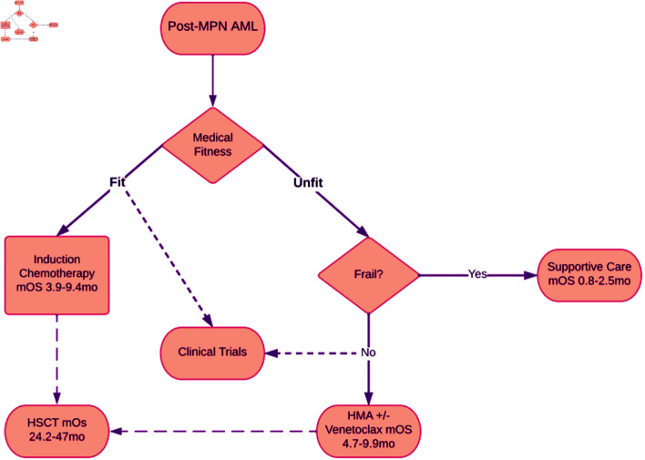 Acute Myeloid Leukemia Following Myeloproliferative Neoplasms: A Review of What We Know, What We Do Not Know, and Emerging Treatment Strategies.