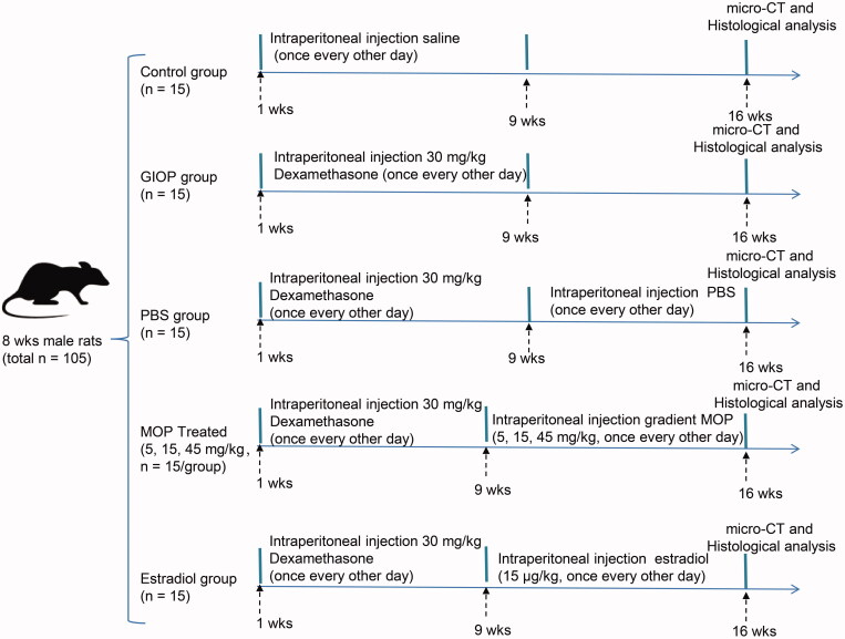 <i>Morinda officinalis</i> polysaccharide enable suppression of osteoclastic differentiation by exosomes derived from rat mesenchymal stem cells.