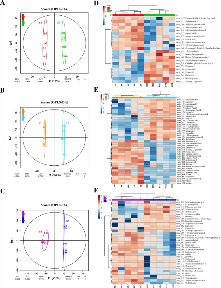 Metabolic analysis of the regulatory mechanism of sugars on secondary flowering in Magnolia.