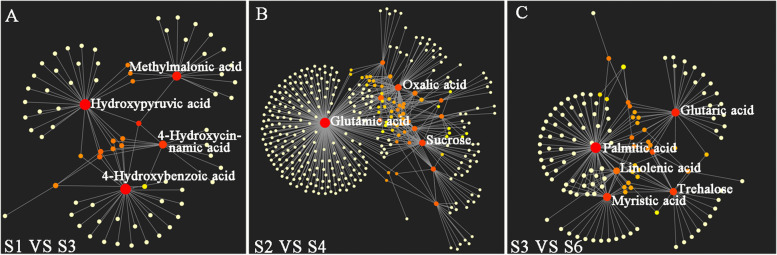 Metabolic analysis of the regulatory mechanism of sugars on secondary flowering in Magnolia.