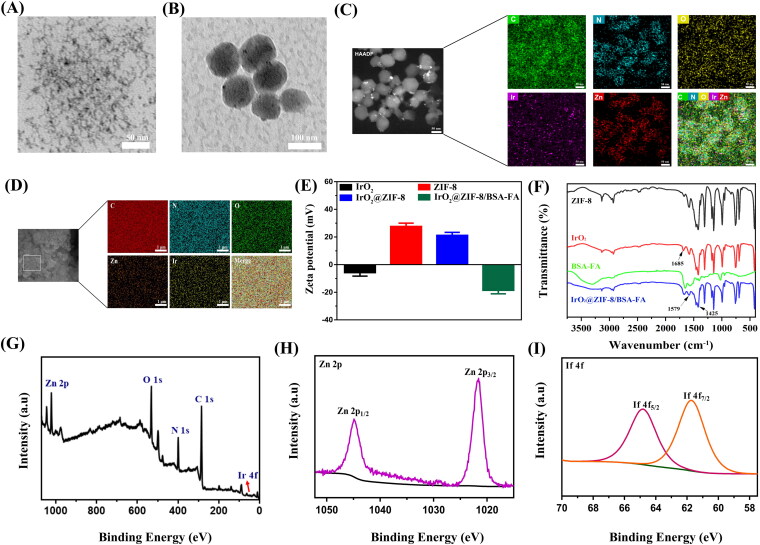 Synthesis of dual-stimuli responsive metal organic framework-coated iridium oxide nanocomposite functionalized with tumor targeting albumin-folate for synergistic photodynamic/photothermal cancer therapy.