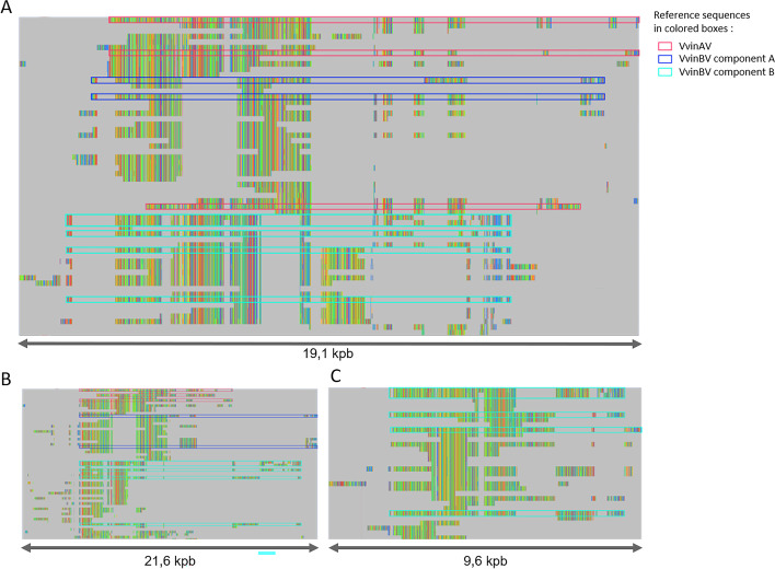 CAULIFINDER: a pipeline for the automated detection and annotation of caulimovirid endogenous viral elements in plant genomes.