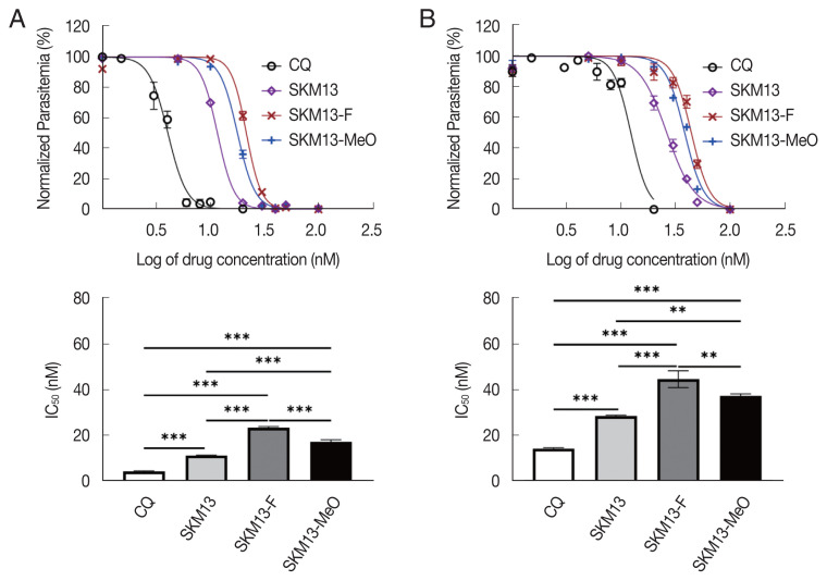 In Vitro Evaluation of Two Novel Antimalarial Derivatives of SKM13: SKM13-MeO and SKM13-F.