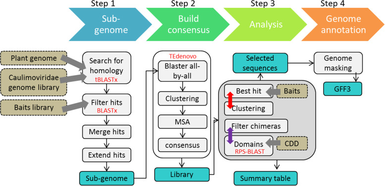 CAULIFINDER: a pipeline for the automated detection and annotation of caulimovirid endogenous viral elements in plant genomes.