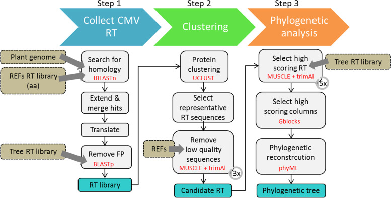 CAULIFINDER: a pipeline for the automated detection and annotation of caulimovirid endogenous viral elements in plant genomes.