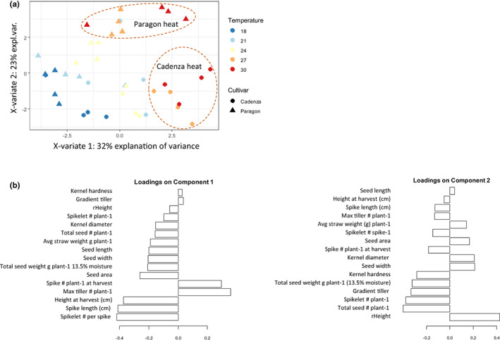 Novel molecules and target genes for vegetative heat tolerance in wheat.