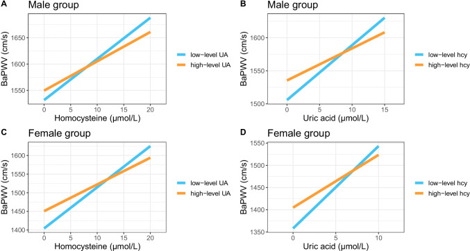 Mutual effect of homocysteine and uric acid on arterial stiffness and cardiovascular risk in the context of predictive, preventive, and personalized medicine.