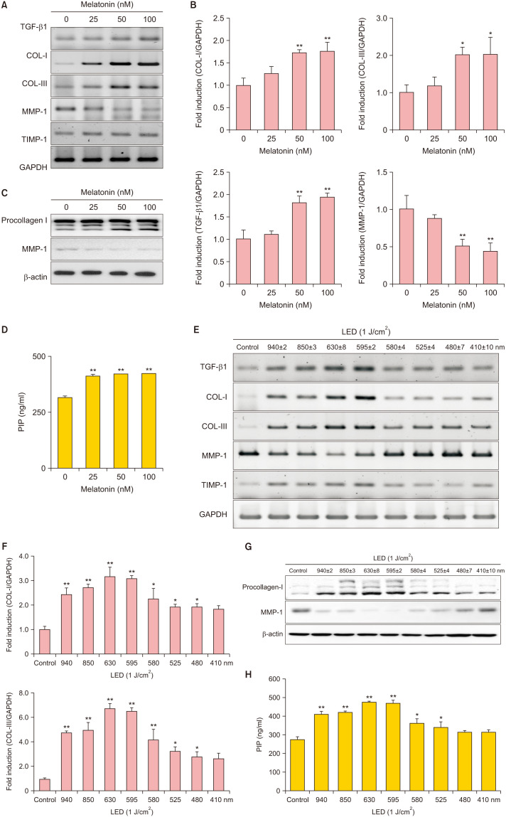 Cutaneous Photorejuvenation of Light Emitting Diodes via the Melatonin Membrane Receptor Pathway.