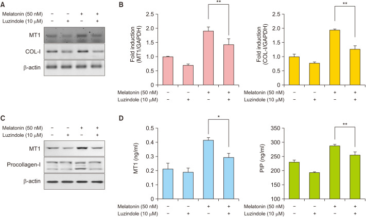 Cutaneous Photorejuvenation of Light Emitting Diodes via the Melatonin Membrane Receptor Pathway.